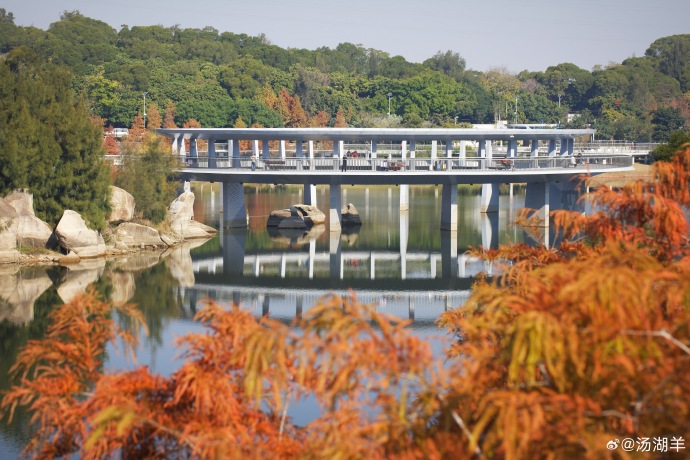 高光片段 — 国风新声 封面