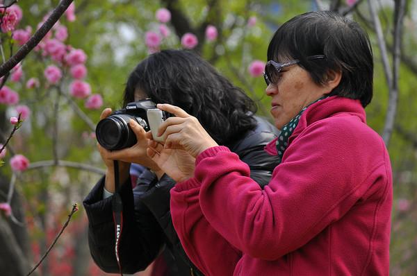 向阳剪辑组 头像